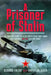 A Prisoner of Stalin: The Chilling Story of a Luftwaffe Pilot Shot Down and Captured on the Eastern Front by Christian Huber