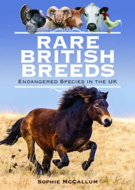 Rare British Breeds: Endangered Species in the UK by Sophie McCallum