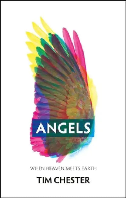Angels: When Heaven Meets Earth by Tim Chester
