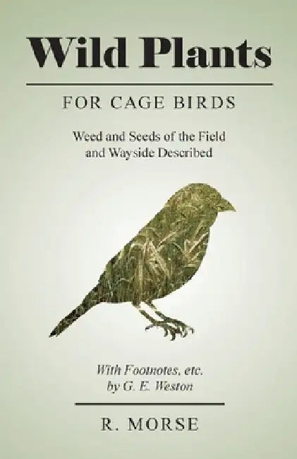 Wild Plants for Cage Birds - Weed and Seeds of the Field and Wayside Described - With Footnotes, Etc., by G. E. Weston by R. Morse
