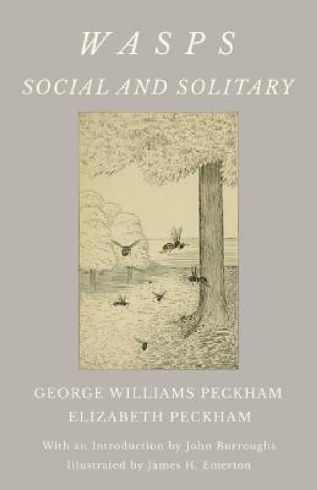 Wasps - Social and Solitary;With an Introduction by John Burroughs - Illustrated by James H. Emerton by George Williams Peckham, Elizabeth Peckham