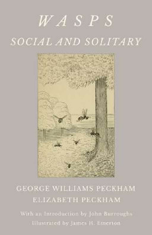 Wasps - Social and Solitary;With an Introduction by John Burroughs - Illustrated by James H. Emerton by George Williams Peckham, Elizabeth Peckham
