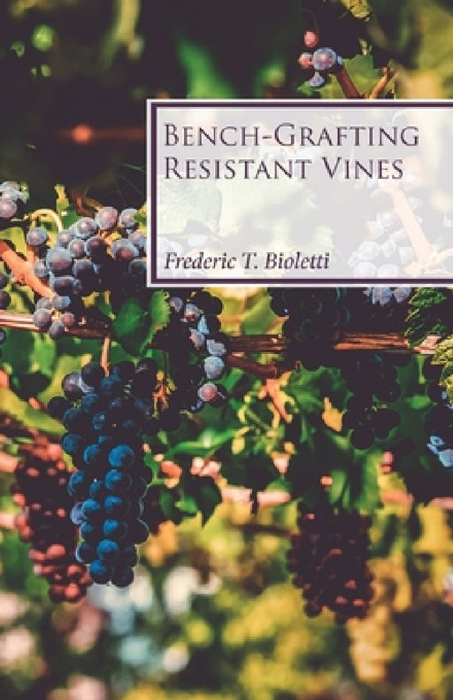 Bench-Grafting Resistant Vines by Frederic T. Bioletti