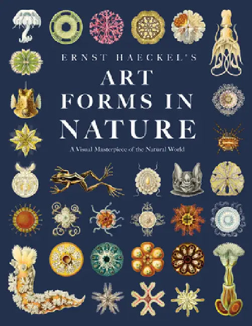 Ernst Haeckel's Art Forms in Nature: A Visual Masterpiece of the Natural World by Haeckel, Ernst