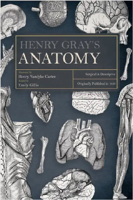 Henry Gray's Anatomy: Surgical and Descriptive by Gray, Henry