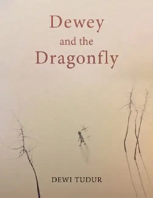 Dewey and the Dragonfly by Dewi Tudur