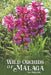 Wild Orchids of Málaga by Ian Phillips