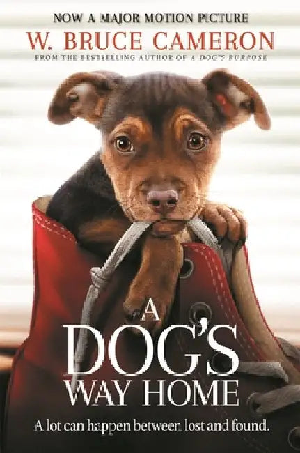 A Dog's Way Home: The Heartwarming Story of the Special Bond Between Man and Dog by W. Bruce Cameron