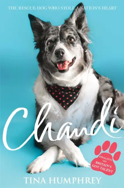Chandi by Tina Humphrey