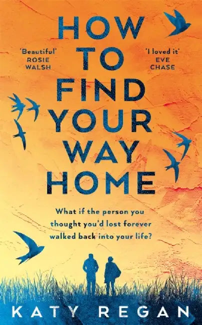 How To Find Your Way Home by Katy Regan