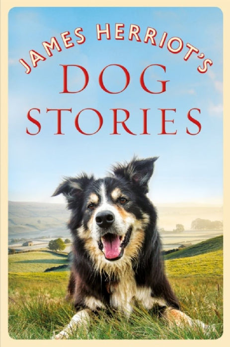 James Herriot's Dog Stories by James Herriot