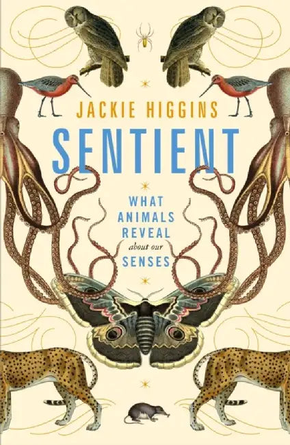 Sentient by Jackie Higgins