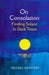 On Consolation by Michael Ignatieff
