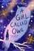 A Girl Called Owl by Amy Wilson