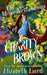The Misunderstandings of Charity Brown by Elizabeth Laird