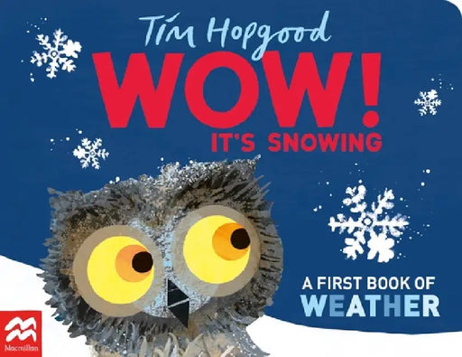 Wow! It's Snowing: A First Book of Weather by Tim Hopgood