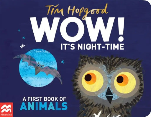 WOW! It's Night-time by Tim Hopgood