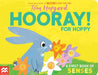 Hooray for Hoppy by Tim Hopgood