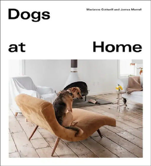 Dogs at Home by Marianne Cotterill