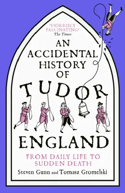 An Accidental History of Tudor England: From Daily Life to Sudden Death by Steven Gunn