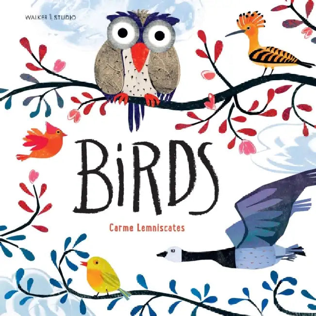 Birds by Carme Lemniscates