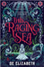 This Raging Sea: A spooky gothic YA romance that transcends time, full of horrifying secrets and generations-old dark mysteries by De Elizabeth
