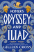 Homer's Odyssey and Iliad: The must-have bumper edition of Homer's epic stories: an award-winning retelling with stylish illustrations, the perfect read for fans of Greek myths aged 8, 9, 10, 11 by Gillian Cross