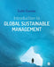 Introduction to Global Sustainable Management by Colin Combe