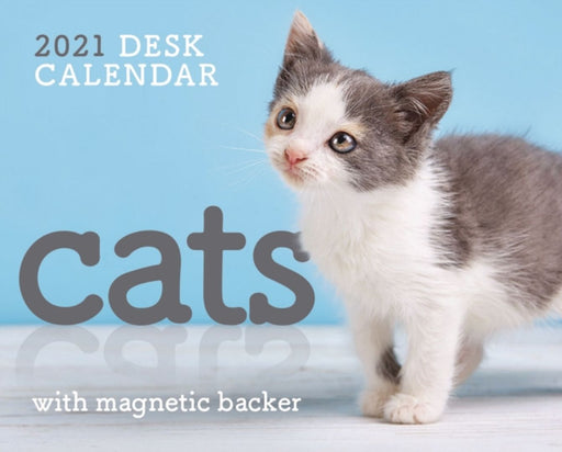 Cats Mini Box Calendar 2021 by Andrews, Kylie
