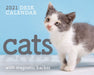 Cats Mini Box Calendar 2021 by Andrews, Kylie