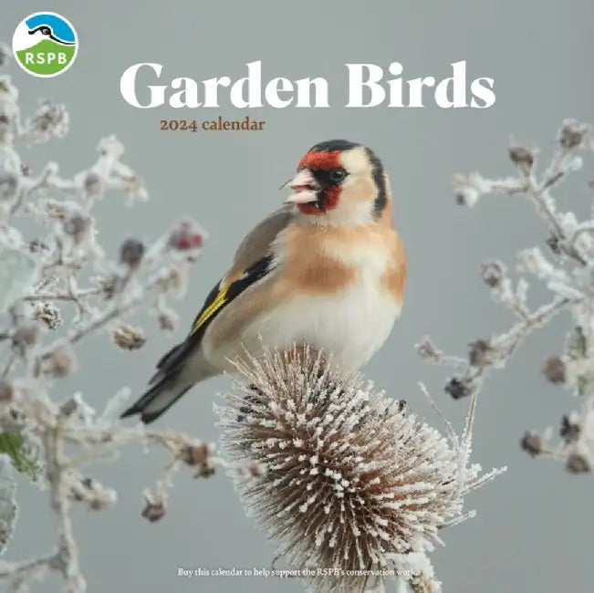RSPB Garden Birds Square Wall Calendar 2024