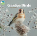 RSPB Garden Birds Square Wall Calendar 2024