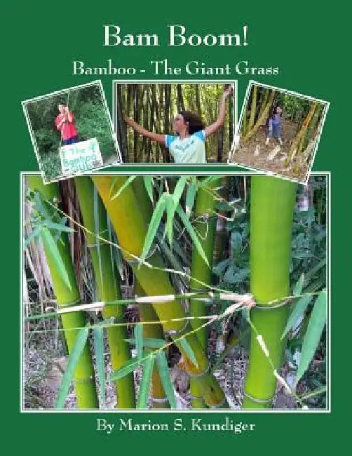 Bam Boom!: Bamboo - The Giant Grass by Marion S. Kundiger