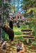 Ralph's Place: A Magical Experience by C. Michael Bennis