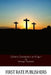 Catholic Commentary on Kings I by George Haydock
