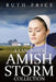 A Lancaster Amish Storm Collection by Ruth Price