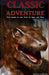 Classic Adventure by Wilkes Fountain