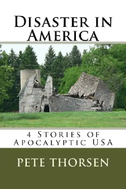 Disaster in America: 4 Stories of Apocalyptic USA by Pete Thorsen
