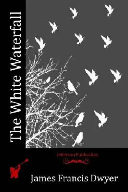 The White Waterfall by James Francis Dwyer
