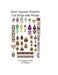 Bead Patterns Ear Rings and Things by Georgia Grisolia