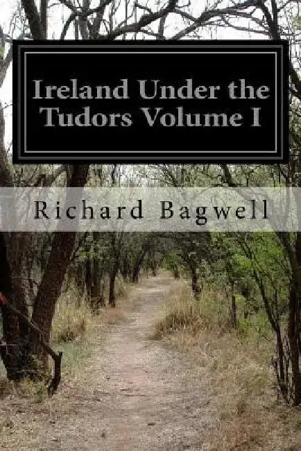 Ireland Under the Tudors Volume I by Richard Bagwell
