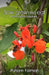 Sow, Grow and Eat: From Plot to Kitchen by Punam Farmah