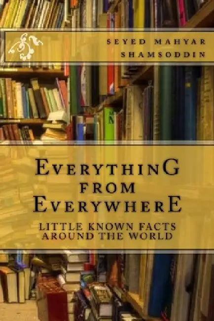 Everything from Everywhere by Seyed Mahyar Shamsoddin