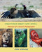 Creatures Great and Small: Memoirs of a Nature Photographer by Alan Weaving