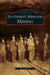 Southwest Missouri Mining by Jerry Pryor