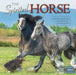 SPIRITED HORSE THE by SELLERS PUBLISHING