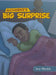 Alexander's Big Surprise by Icey Shaikh