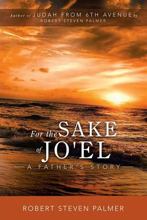 For the Sake of Jo'el: A Father's Story by Robert Steven Palmer