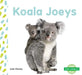 Koala Joeys by Julie Murray
