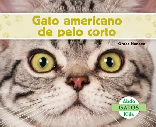 Gato Americano de Pelo Corto (American Shorthair Cats) by Grace Hansen